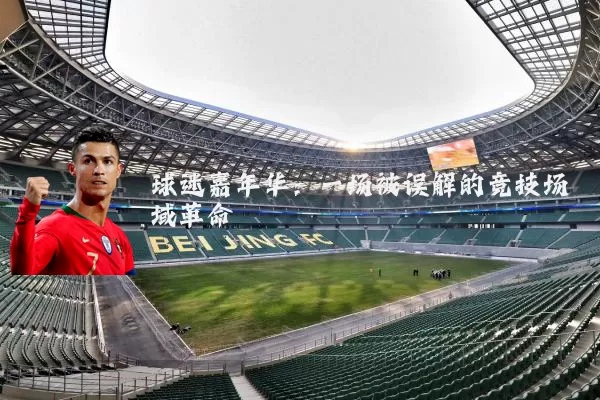 球迷嘉年华：一场被误解的竞技场域革命